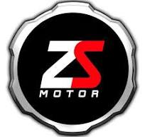 ZS Motor